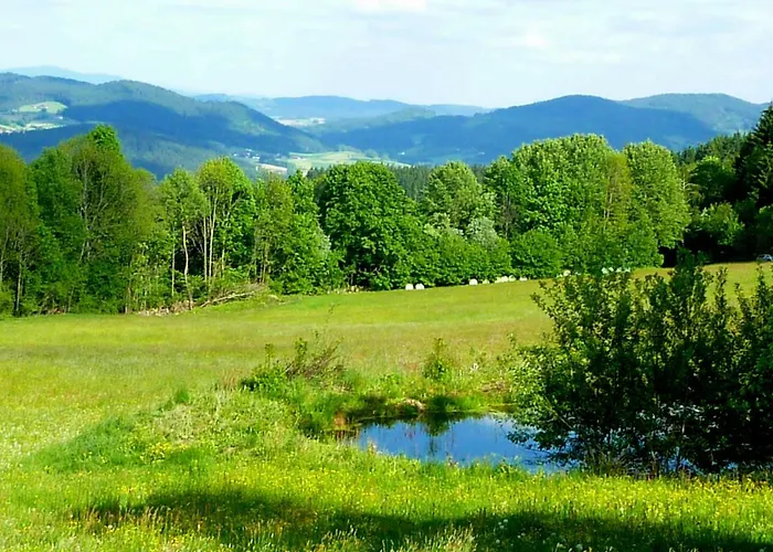 Berggasthof Schoen Patersdorf